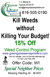 Weed Control Discount Flyer